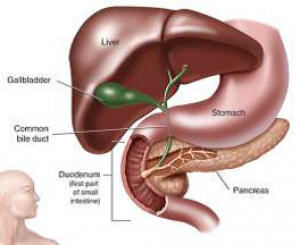 Gall Bladder Surgeon in Nashik